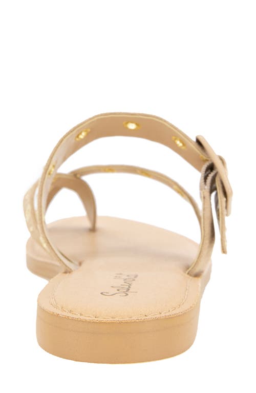 Splendid Silas Studded Toe Loop Sandal