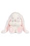 Heaven Sent Baptism Plush Bunny Stuffed Animal Toy - Precious