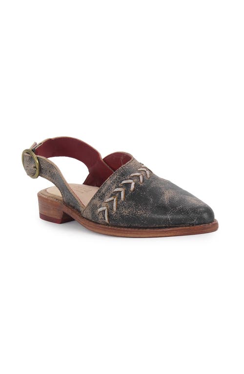 Bed Stu Join Pointed-toe Flat In Black