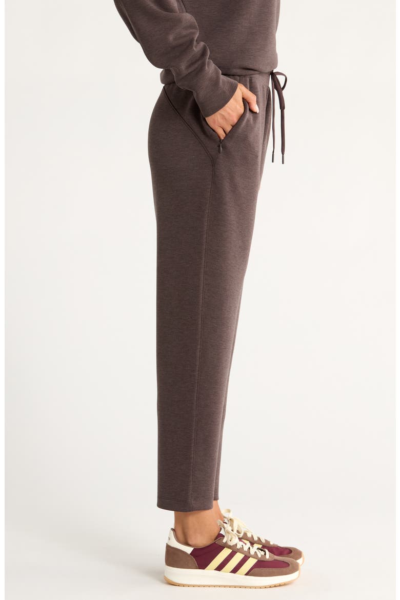 Soft Luxe High Waist Ankle Pants, Alternate, color, BROWN MOLE HEATHER