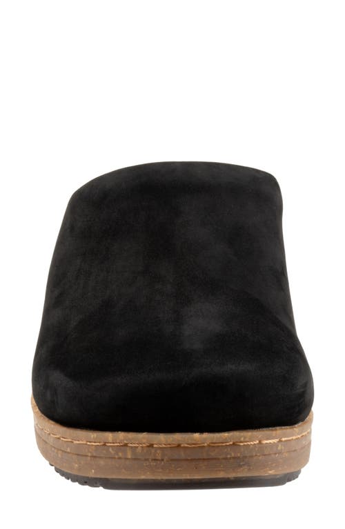 Softwalk ® Arvada Mule In Black Nubuck