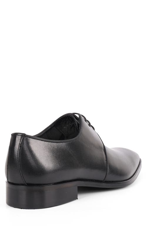 Vellapais Costa Plain Toe Derby In Black