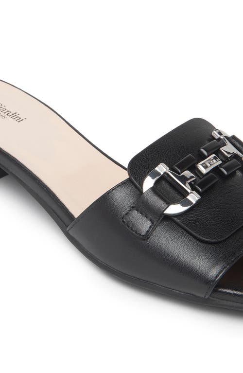 Nerogiardini Bit Slide Sandal In Black