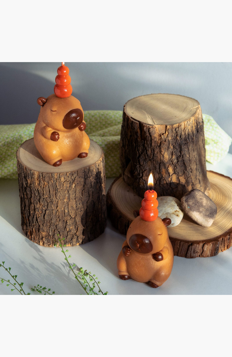 Southlake gifts Capybara Scented Aromatherapy Candle, Alternate, color, NO COLOR