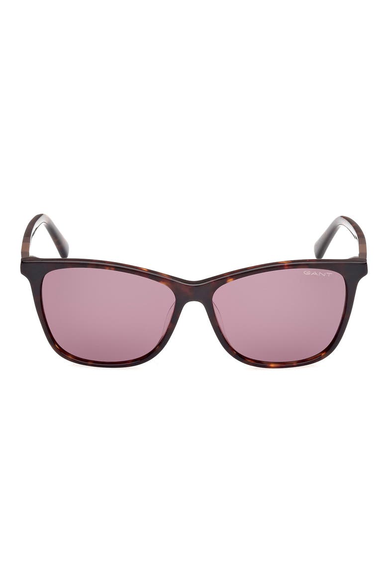 Square Sunglasses, Main, color, DARK HAVANA / BROWN