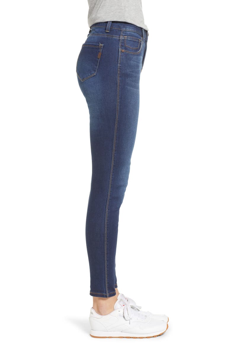 Sculpt High Waist Skinny Jeans, Alternate, color, ZIGGY