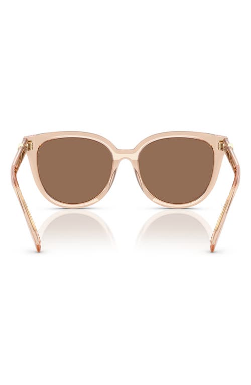 Tory Burch 56mm Phantos Sunglasses In Transparent