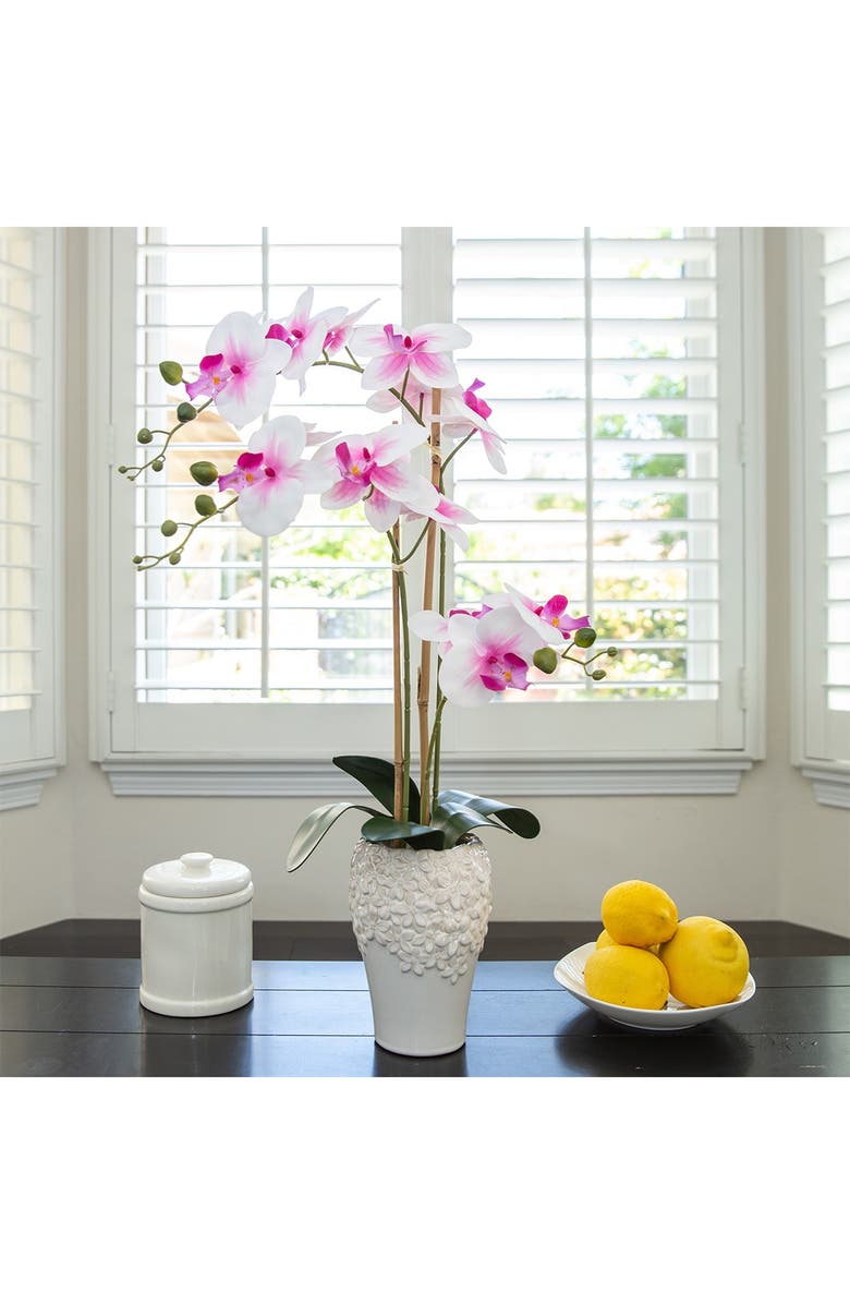 FLORA BUNDA 20" Real-Touch Orchid in 5" x 8" Ceramic Vase, Alternate, color,