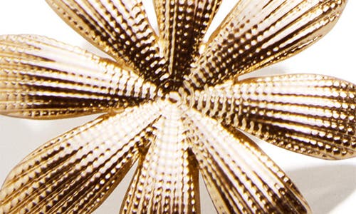Baublebar Shyla Earrings In Gold Small