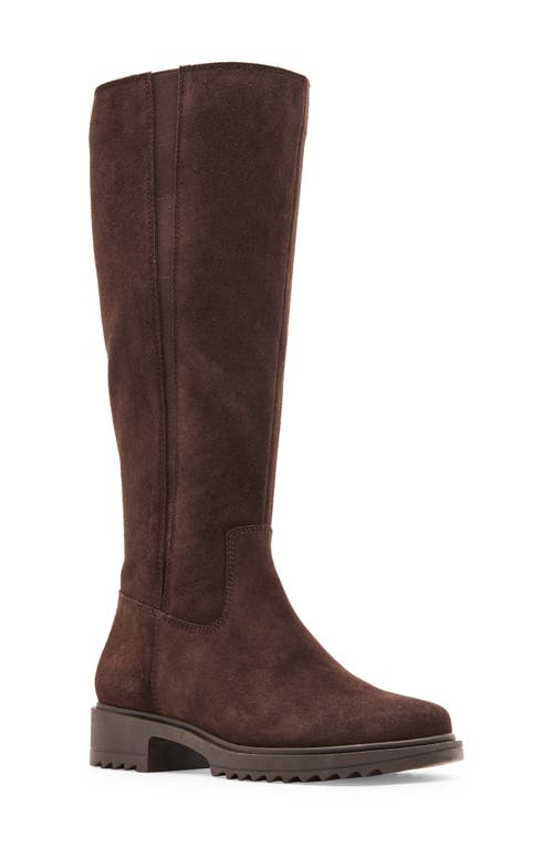 Blondo Ciana Waterproof Knee High Riding Boot In Brown
