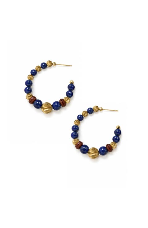 Temple Seed Hoop Earrings