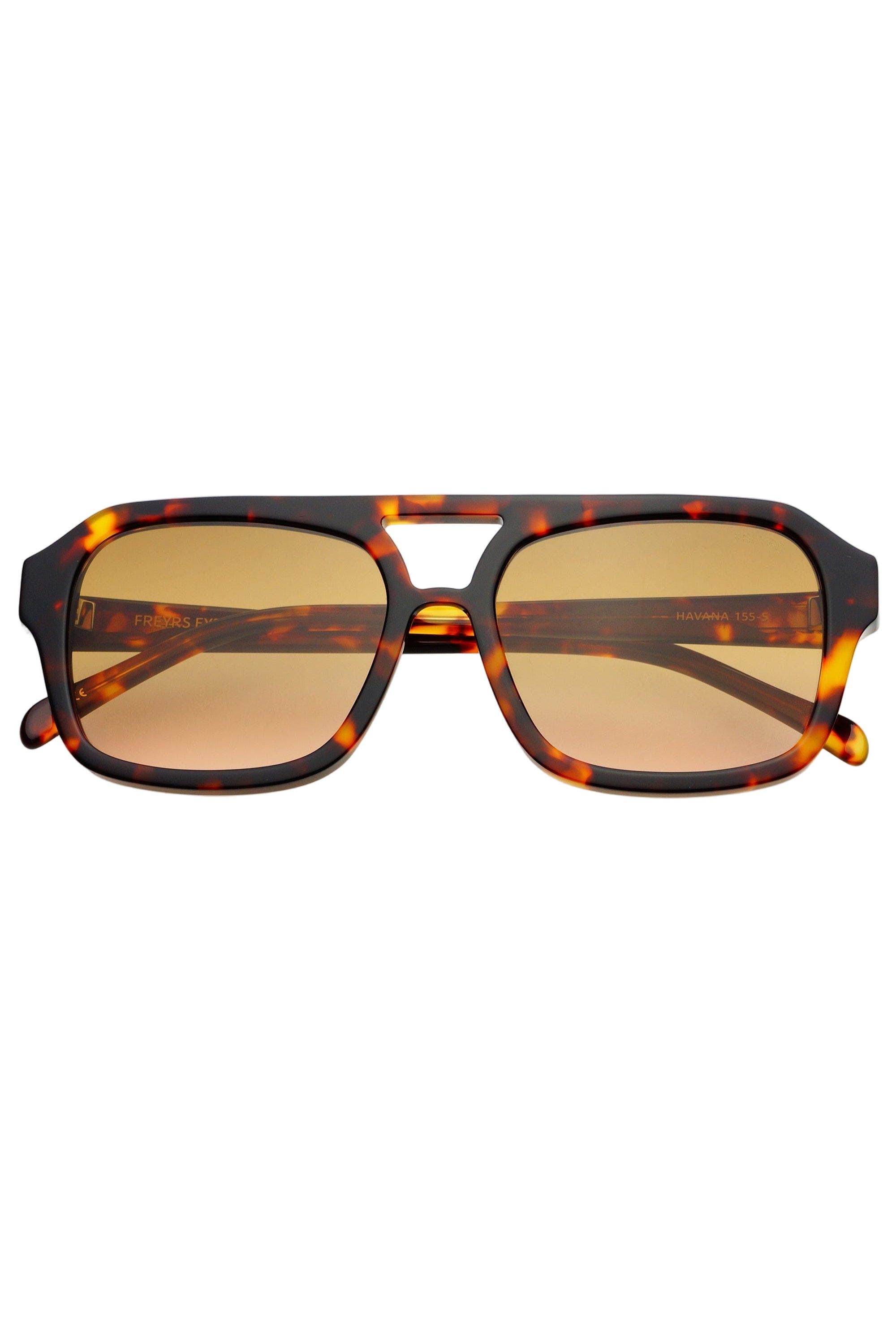 Tortoise / Brown