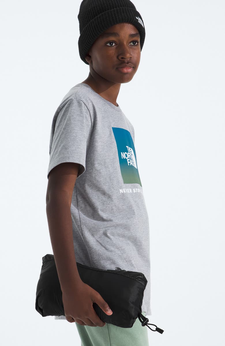 The North Face Kids' Thermoball Quilted Hooded Jacket, Alternate, color, Tnf Black