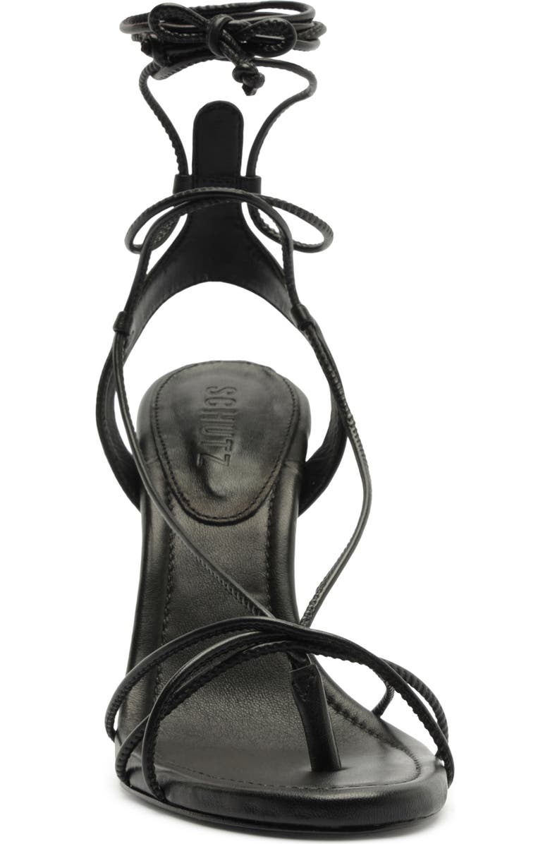 Schutz Jules Ankle Strap Stiletto Sandal, Alternate, color, Black