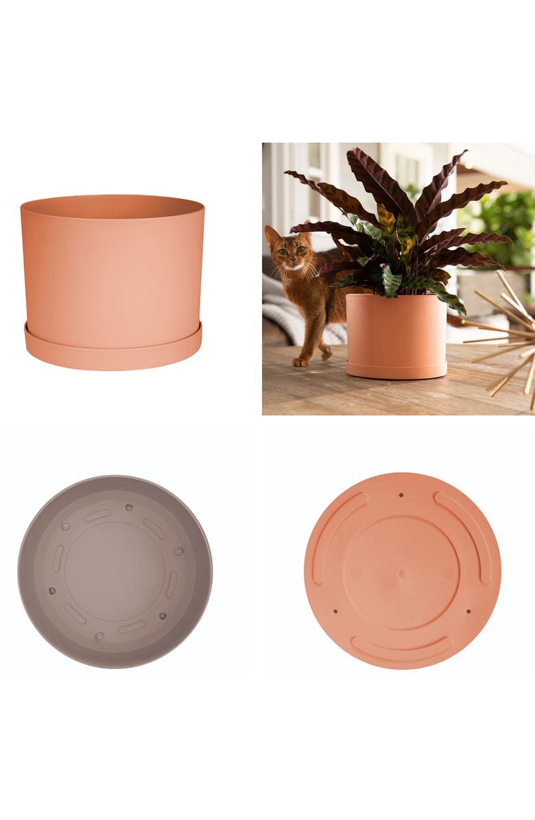 Bloem Mathers 5"W x 7"H Gardening Planter with Saucer Tray, Muted Terra Cotta, Alternate, color, Orange