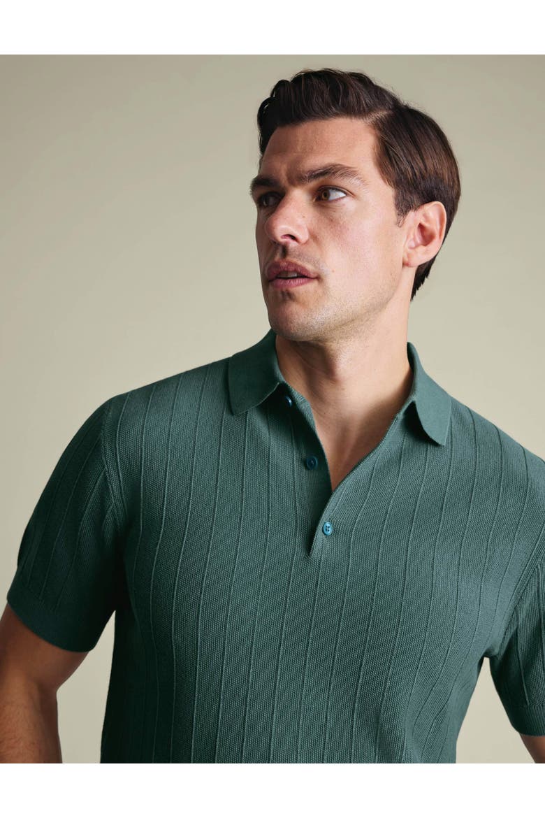 Stripe Texture Short Sleeve Knitted Cotton Polo, Alternate, color, Teal Green