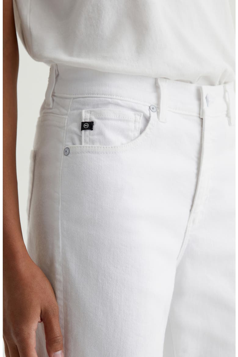Brinley Mid Rise Ankle Straight Leg Jeans, Alternate, color, GALLERY WHITE