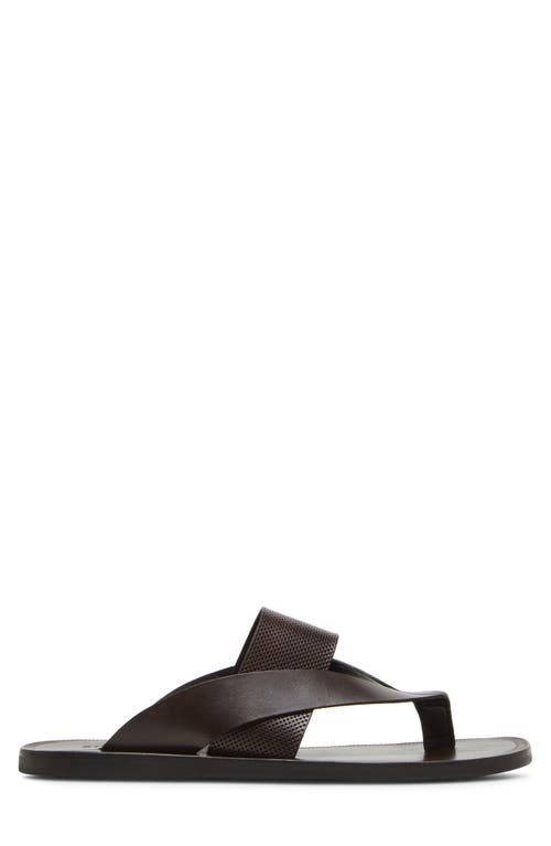Madden Cicero Flip Flop In Brown Leather