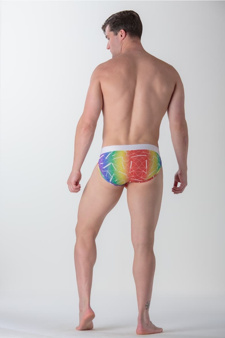 WOH Sexy Fun Mini Briefs, Alternate, color, Multico Print