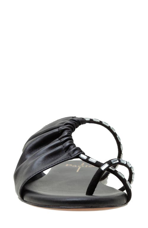 Linea Paolo Lane Toe Loop Sandal In Black