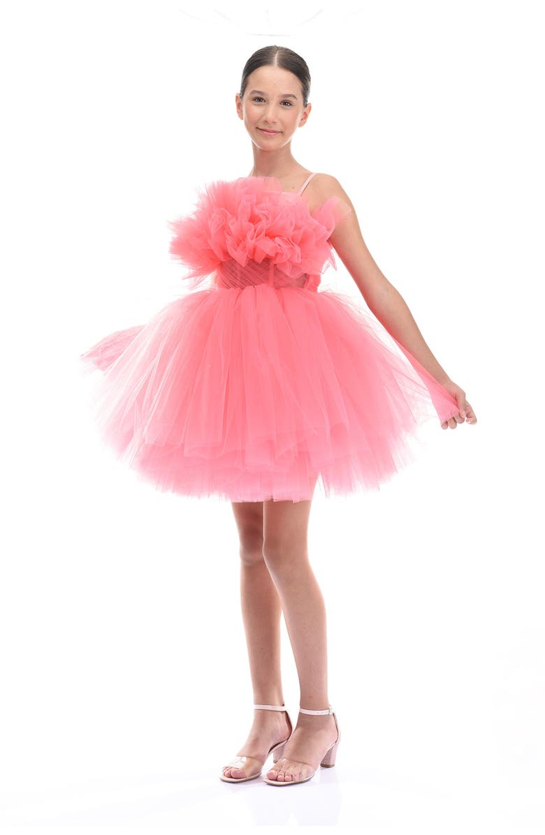 Tulleen Scalleta Dress, Alternate, color, Pink