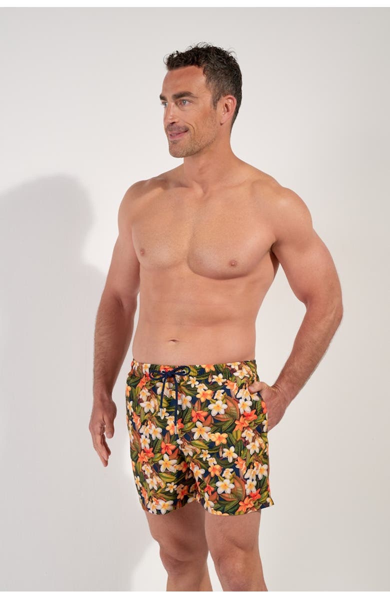 HOM Etna Beach Boxer, Alternate, color, Navy Print