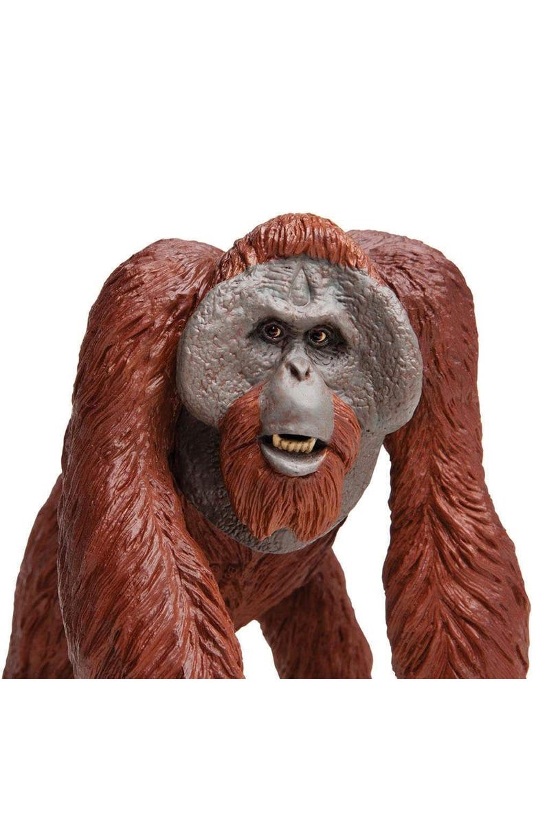 Safari Ltd. Bornean Orangutan Toy, Alternate, color, NO COLOR