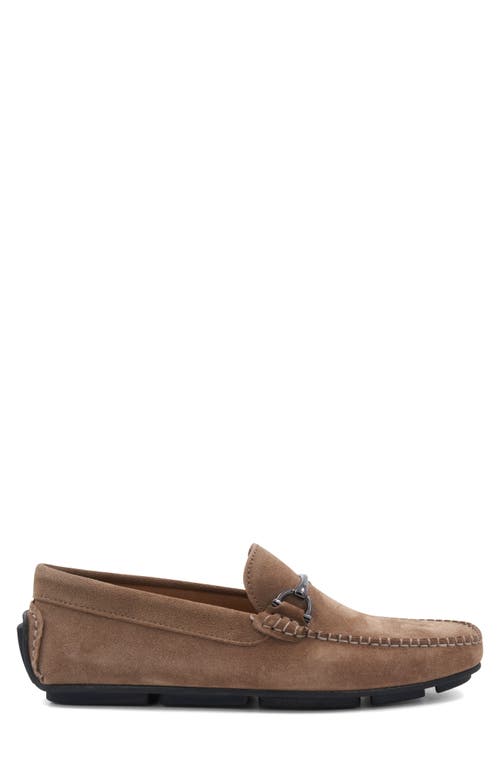 Bruno Magli Parker Bit Loafer In Brown