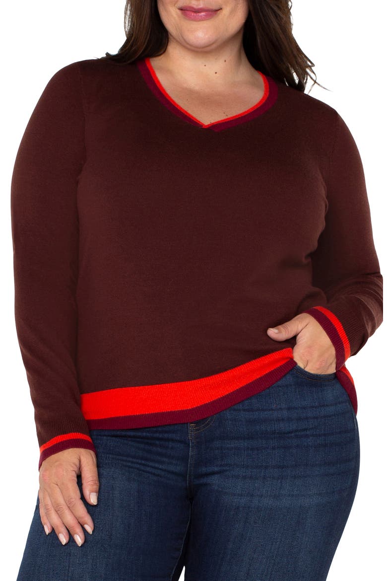 Colorblock Sweater, Main, color, RETRO BROWN MULTI