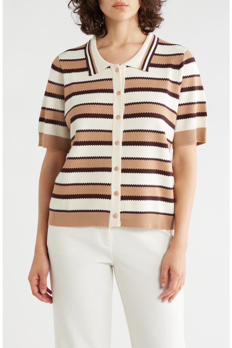 Stripe Polo Sweater, Main, color, CHOCOLATE COMBO