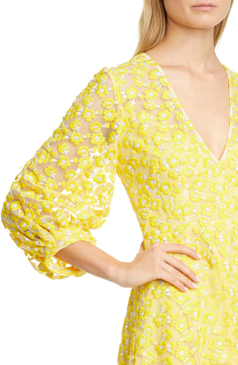 Lela Rose Embroidered Bishop Sleeve Mesh Dress, Alternate, color, 