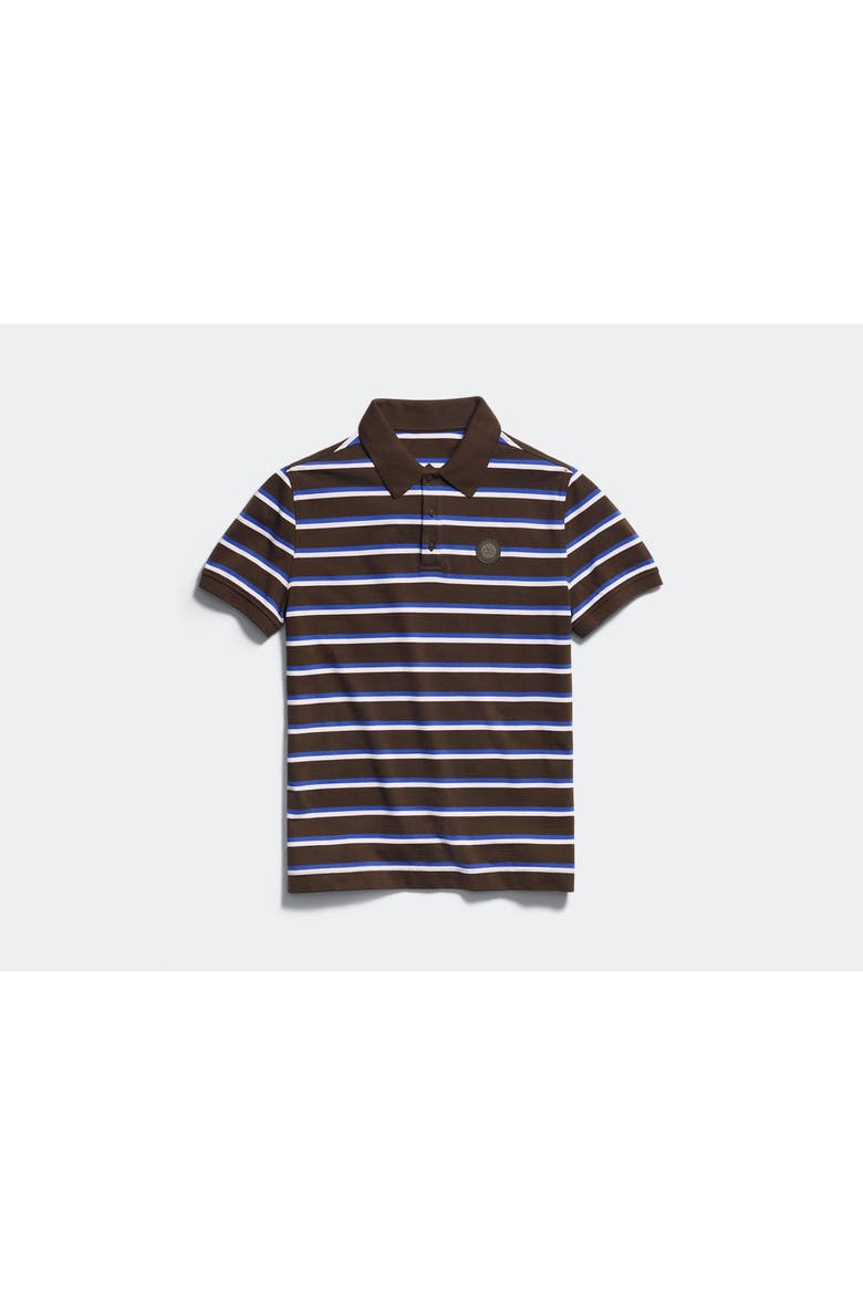 Beckley Striped Polo Tonal Disc, Alternate, color, Terra Moncton Stripe