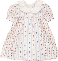 Posie & Pistachio Embroidered Collar Ruffle Sleeve Cotton Dress