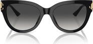Jimmy Choo 54mm Gradient Phantos Sunglasses