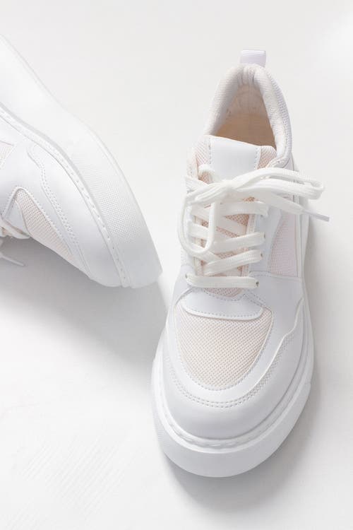 Prologue Shoes Pure Mesh Sneakers In Gray