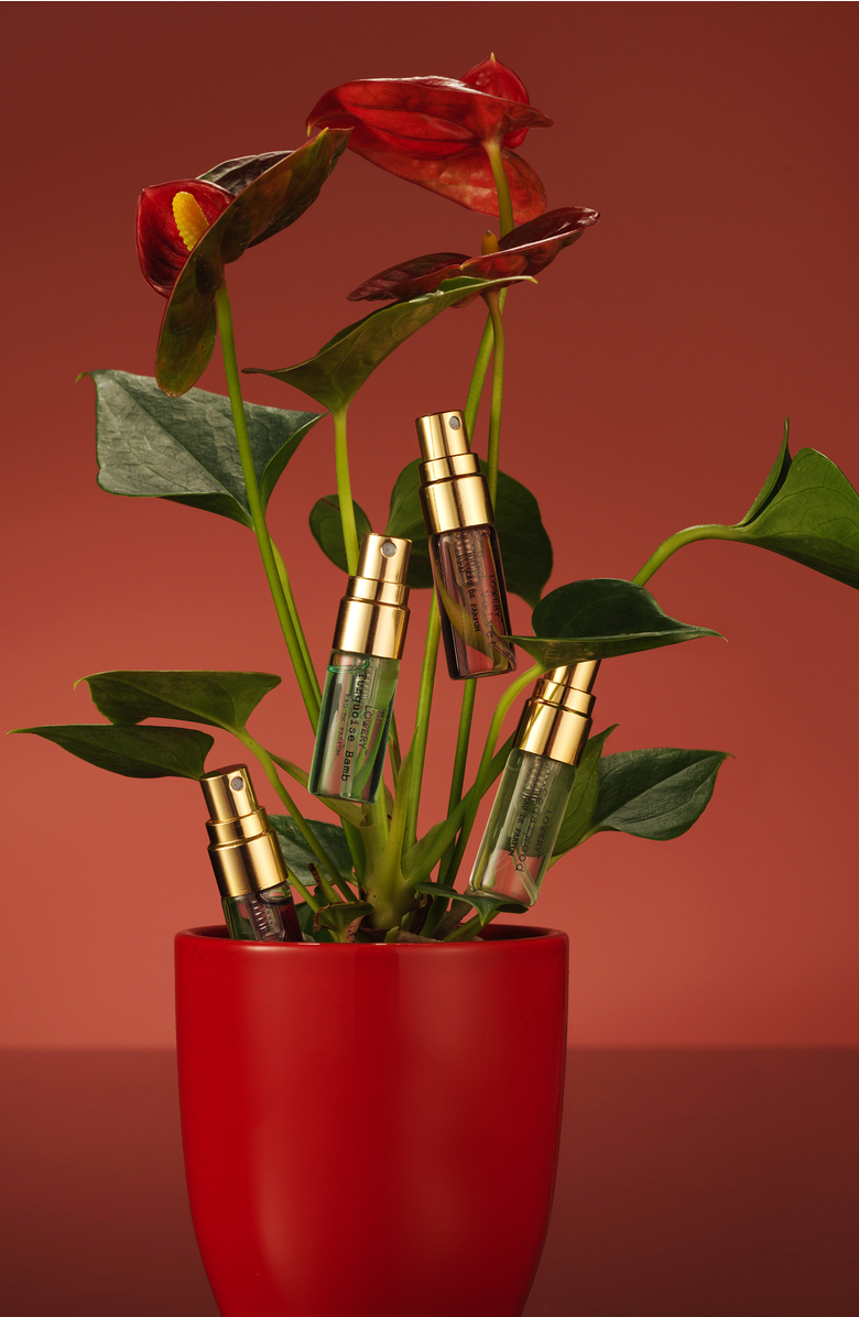 Lovery 12 Days of Glow 12-Piece Assorted Sampler Travel Perfume Gift Set, Alternate, color, Red