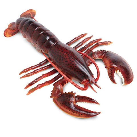 Maine Lobster Toy
