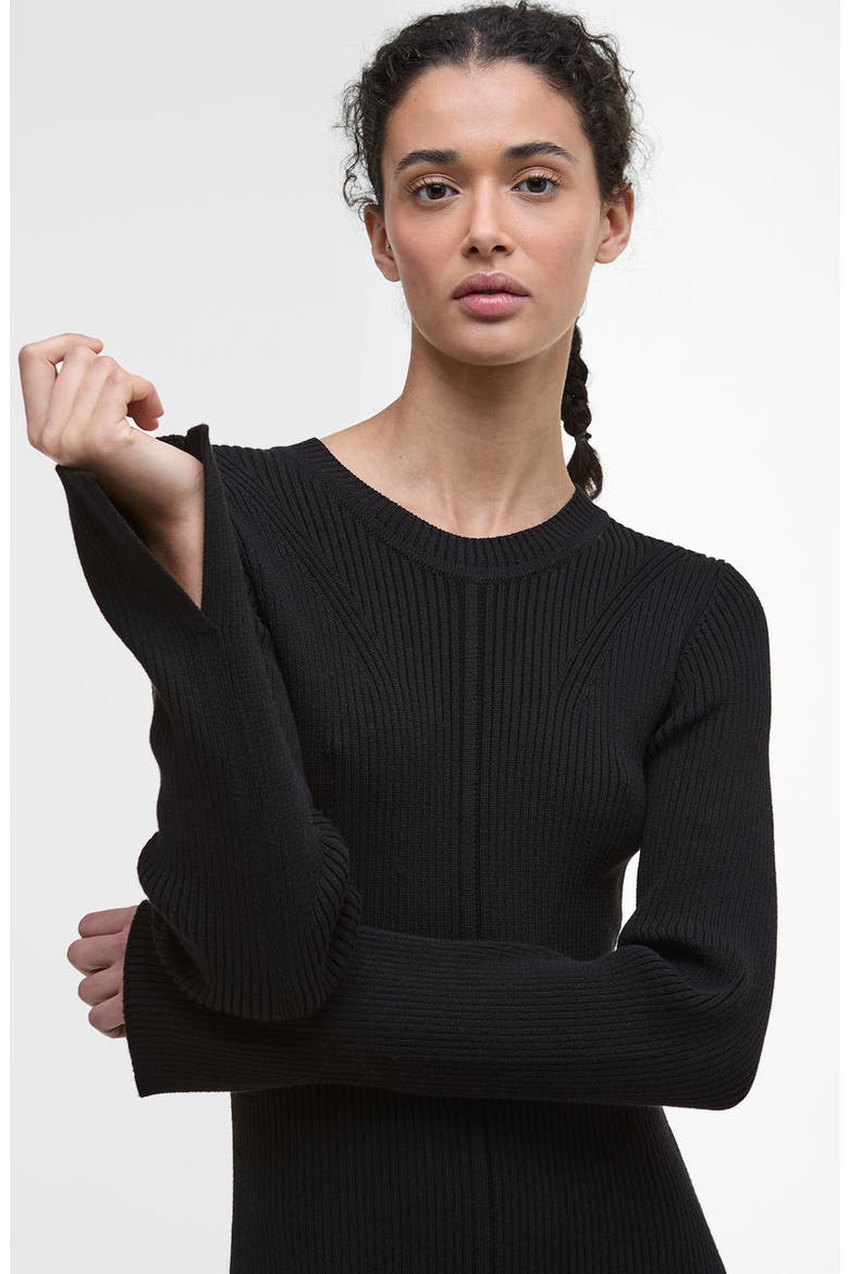 Anastasia Directional Rib Long Sleeve Cotton Sweater Dress, Alternate, color, BLACK