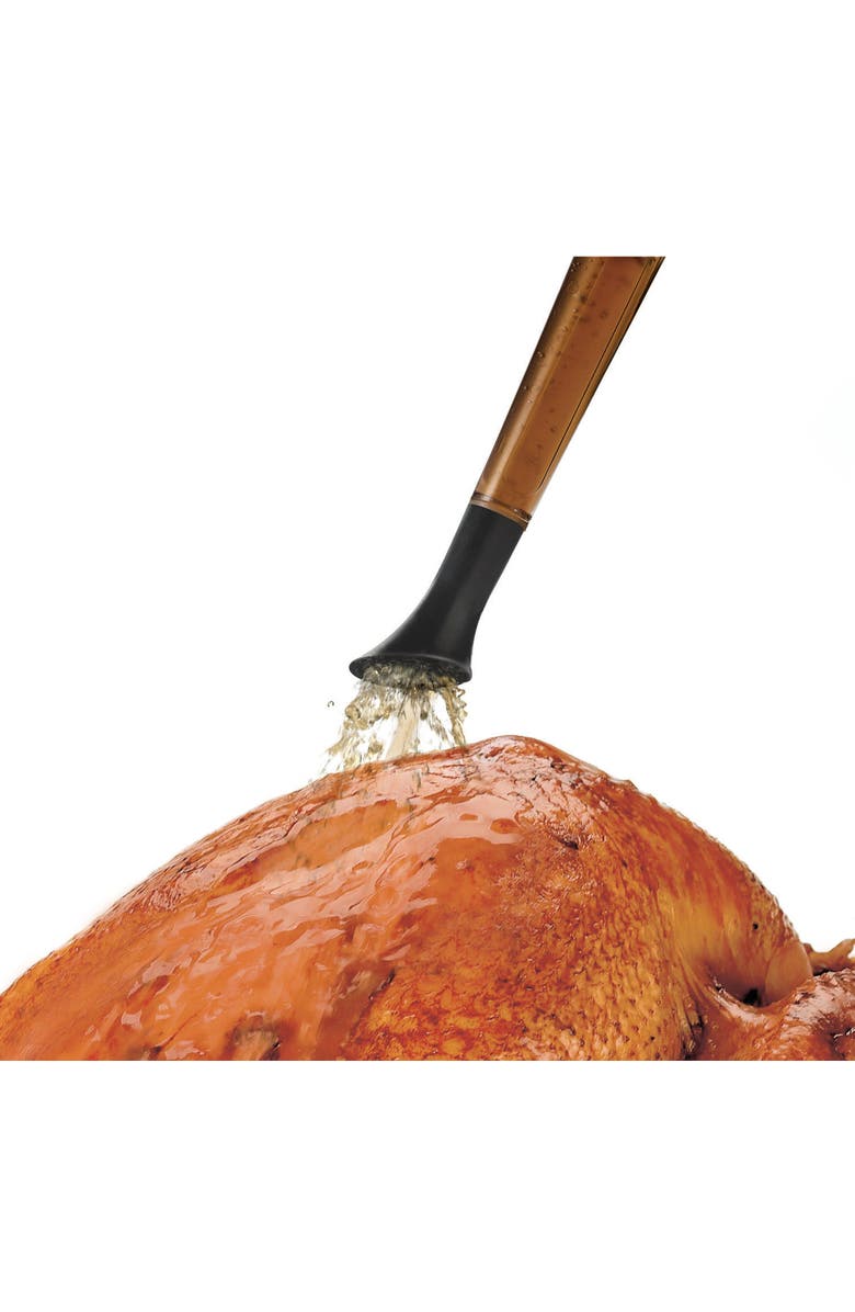 CUISIPRO 3-in-1 Poultry Baster and Brush, Alternate, color, Black