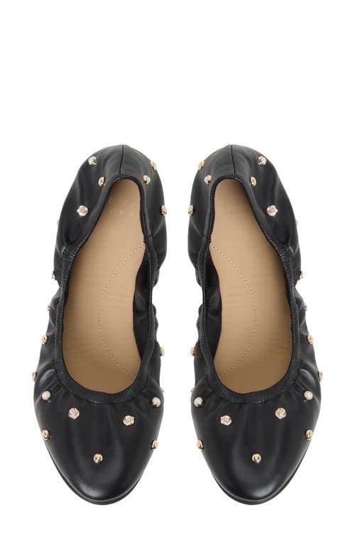 Ted Baker Lottie Studded Ballet Flat In Animal Print