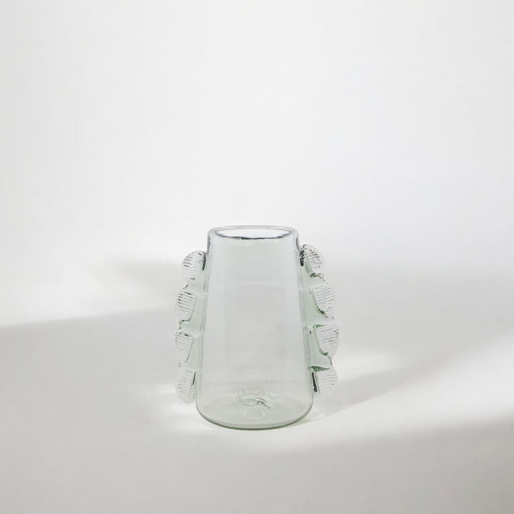 Meso Goods Betta Vase Clear By Diego Olivero In Transparent