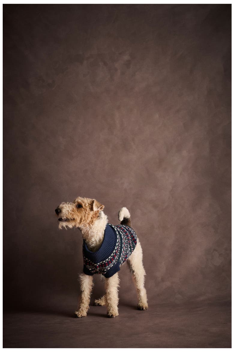 Marlow Fair Isle Dog Sweater, Alternate, color, NAVY FESTIVE