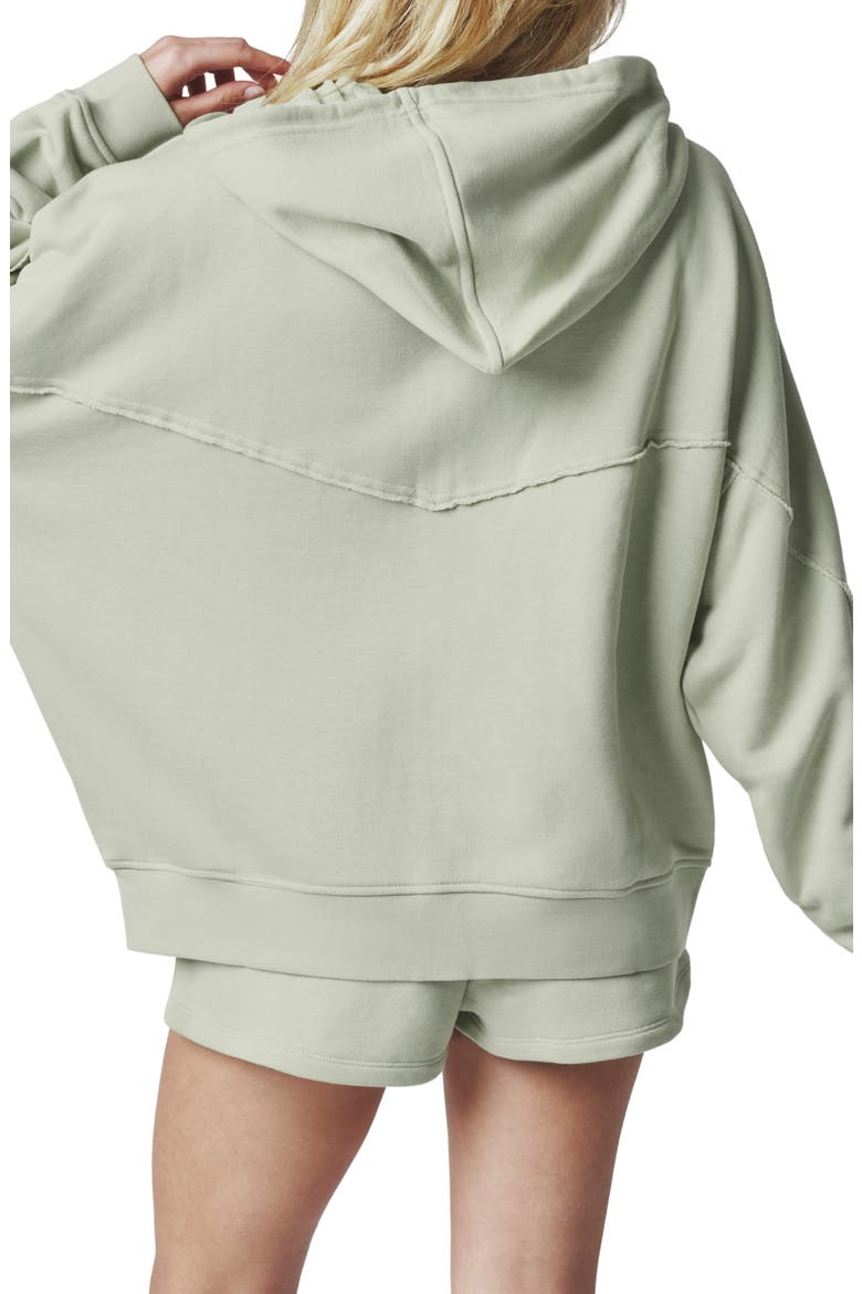 Embroidered Full Zip Hoodie, Alternate, color, DESERT SAGE