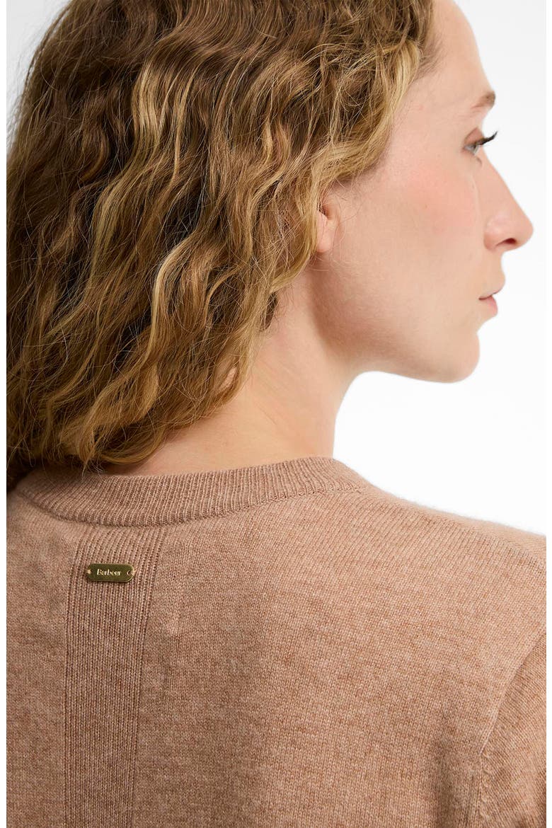 Penwood Cashmere Sweater, Alternate, color, CAMEL