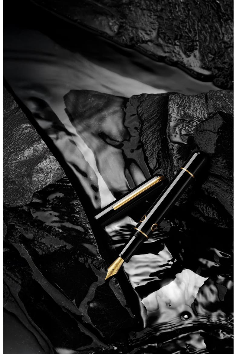 Nautilus Bronze Corydoras Ebonite Fountain Pen, Alternate, color, Black Medium