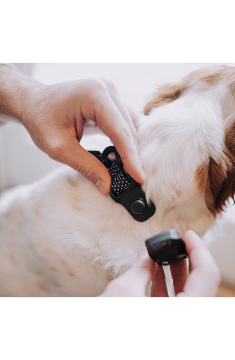 HOOZA Dog Collar Dog Outdoor Accessory, Alternate, color, Black