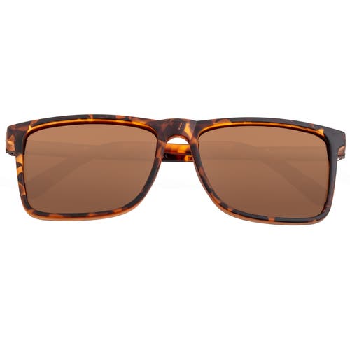 Breed Caelum Polarized Sunglasses In Tortoise/brown