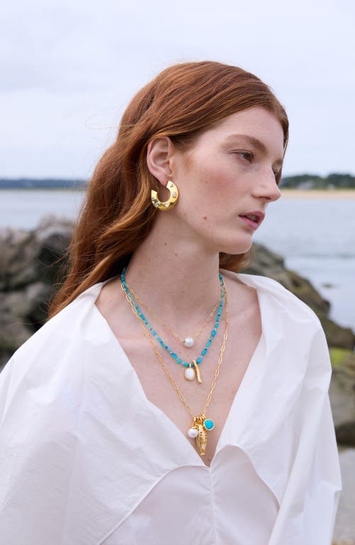 Lizzie Fortunato Sardina Charm Necklace In Gold