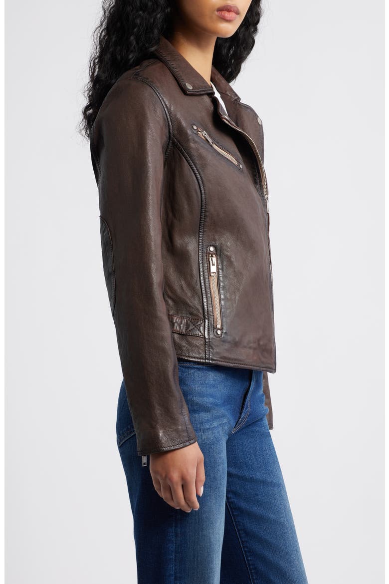Sofia Lambskin Moto Jacket, Alternate, color, BROWN