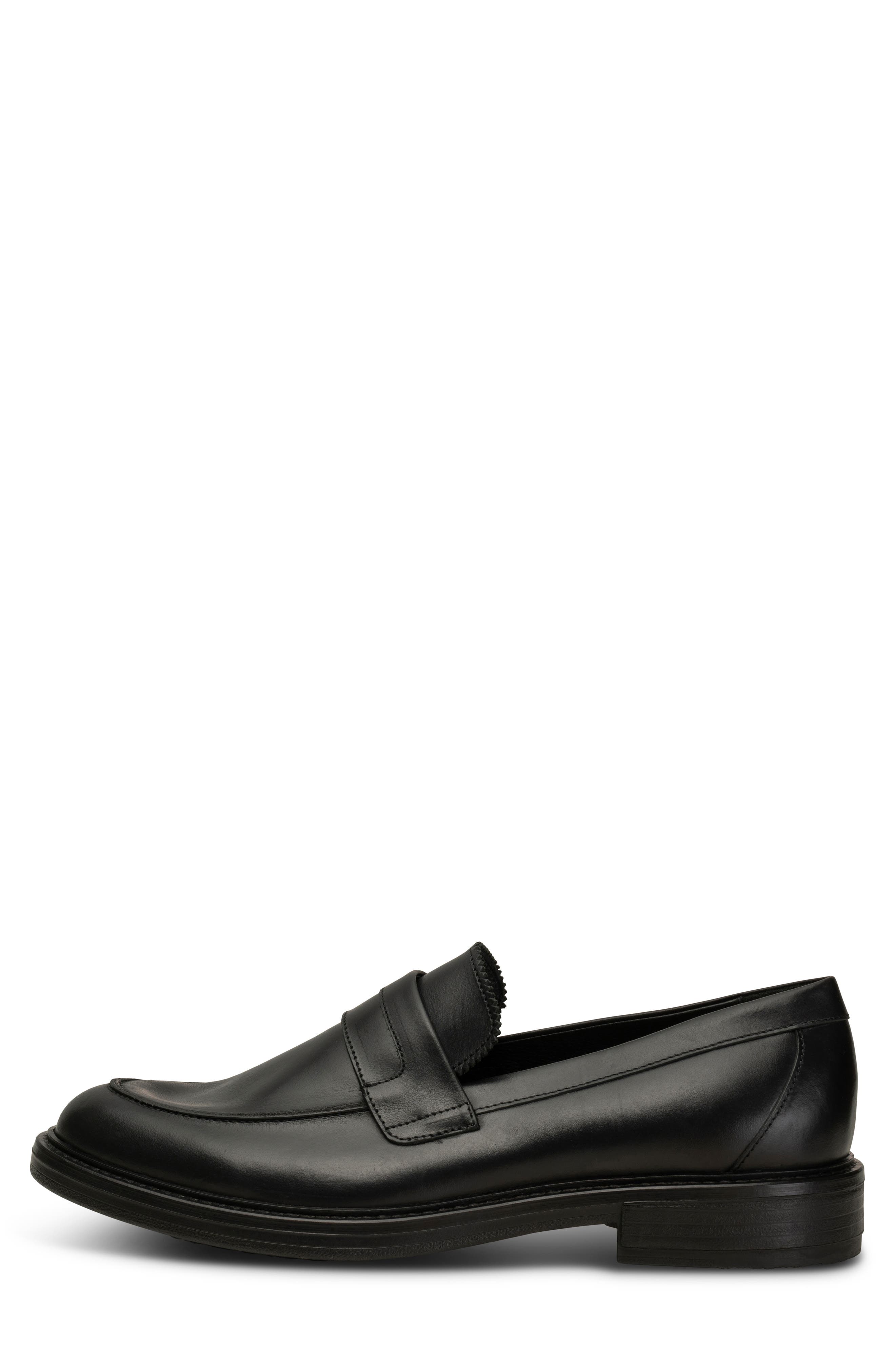Shoe The Bear Stanley Loafer, Alternate, color, 